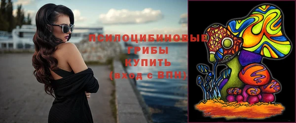 дмт Богородицк
