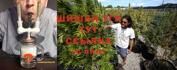 дмт Богородицк