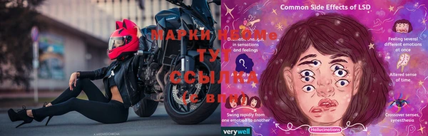 дмт Богородицк