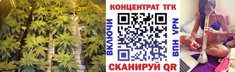 mega сайт  Ейск  ТГК Wax 