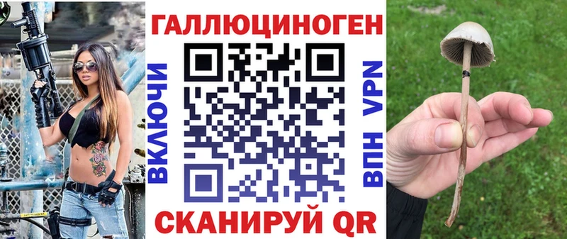 закладки  Ейск  Галлюциногенные грибы MAGIC MUSHROOMS 